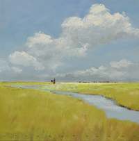 Jan Groenhart - Petmolen in de polder