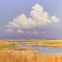 Jan Groenhart - Vogels in een sloot 