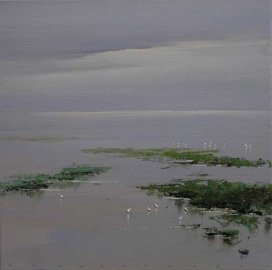 Jan Groenhart - vogels kijken