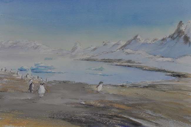 Jan Groenhart - Antarctica 1