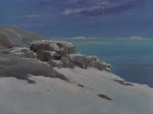 Jan Groenhart - Pinguins op Antarctica